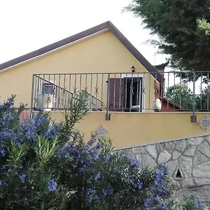 Edera Italia